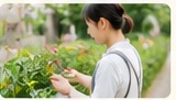 施設外就労